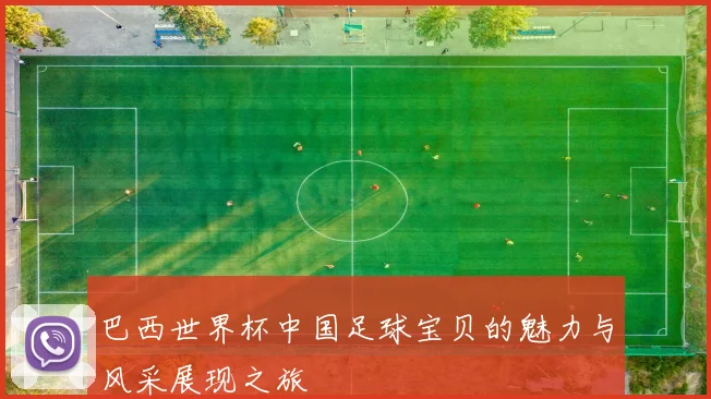 巴西世界杯中国足球宝贝的魅力与风采展现之旅