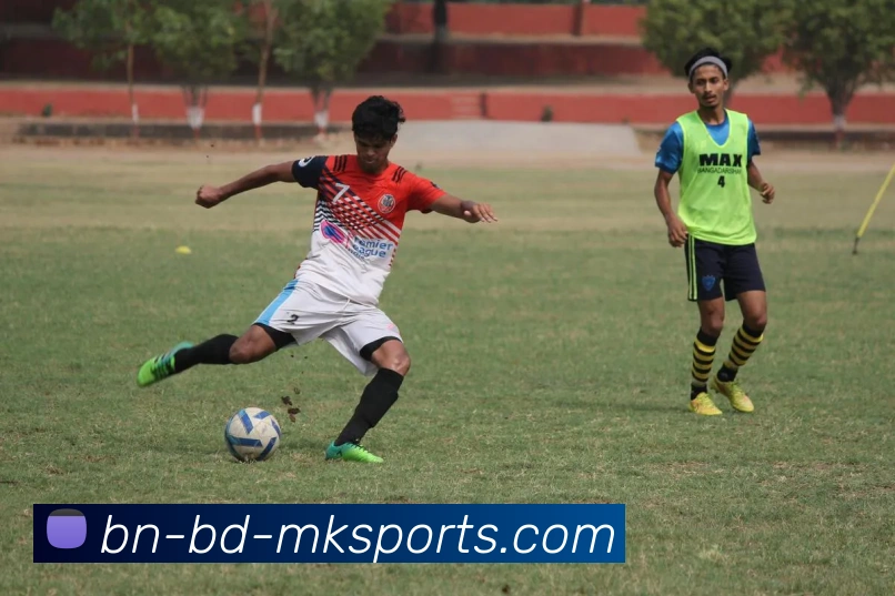 多媒体互动体验